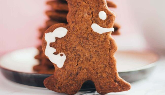 1-Bowl Christmas Vegan Gingerbread Cookies Recipe