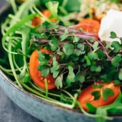 favorite healthy salad with sprouts and seeds (15 minutes)