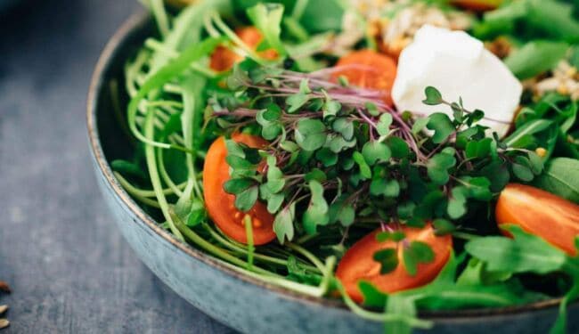 favorite healthy salad with sprouts and seeds (15 minutes)