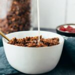 vegan chocolate coconut granola recipe