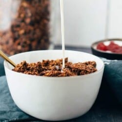 vegan chocolate coconut granola recipe