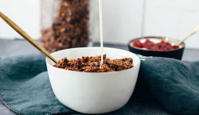 vegan chocolate coconut granola recipe