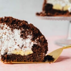 Mole cake (vegan)