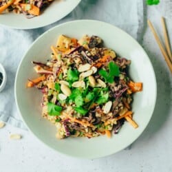 Vegan rice salad with peanut sauce