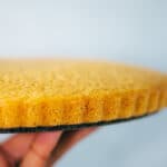 Simple vegan sponge cake base