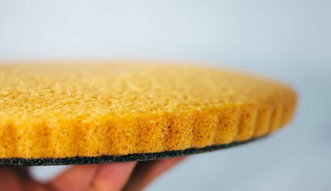 Simple vegan sponge cake base