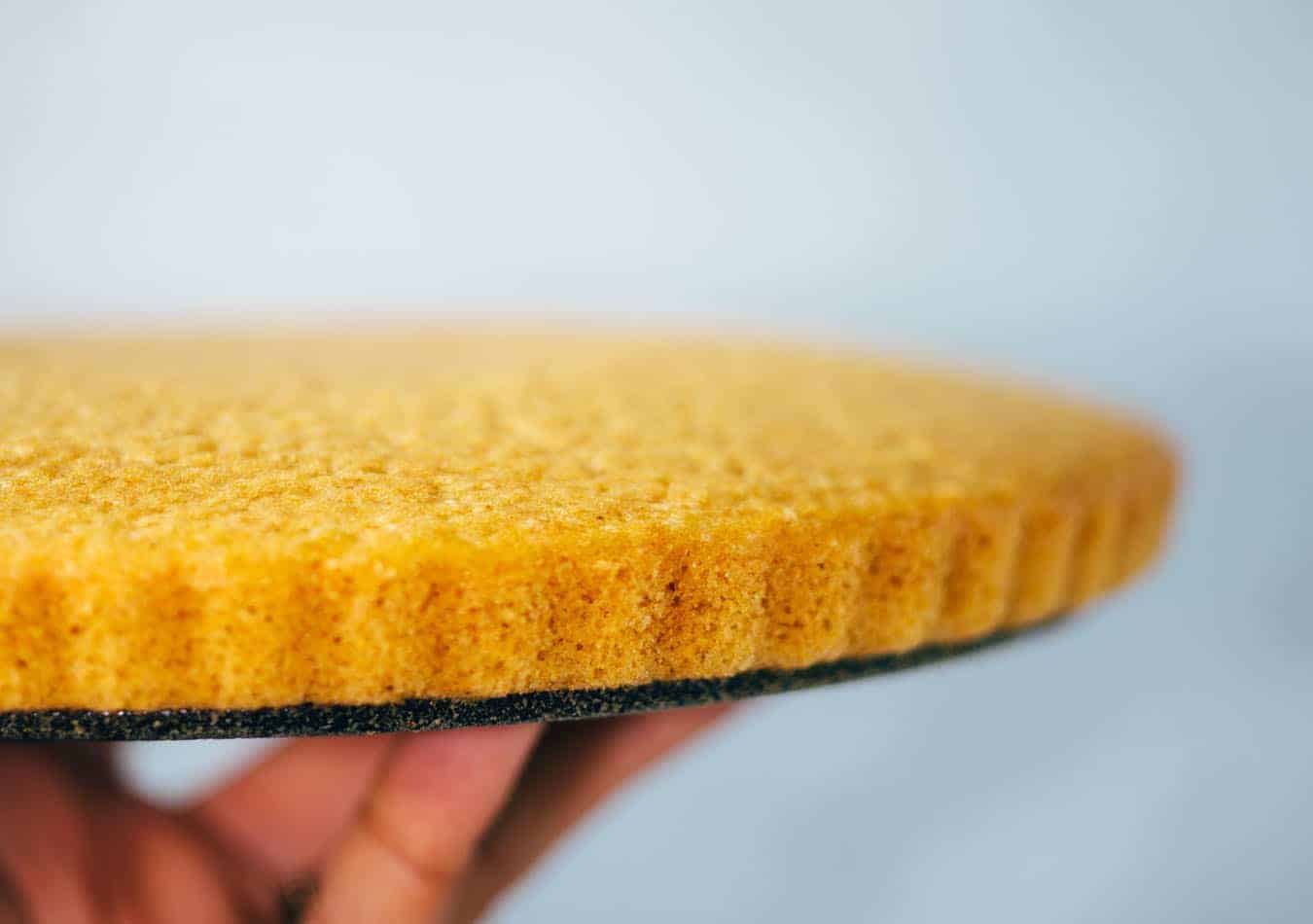 Simple vegan sponge cake base