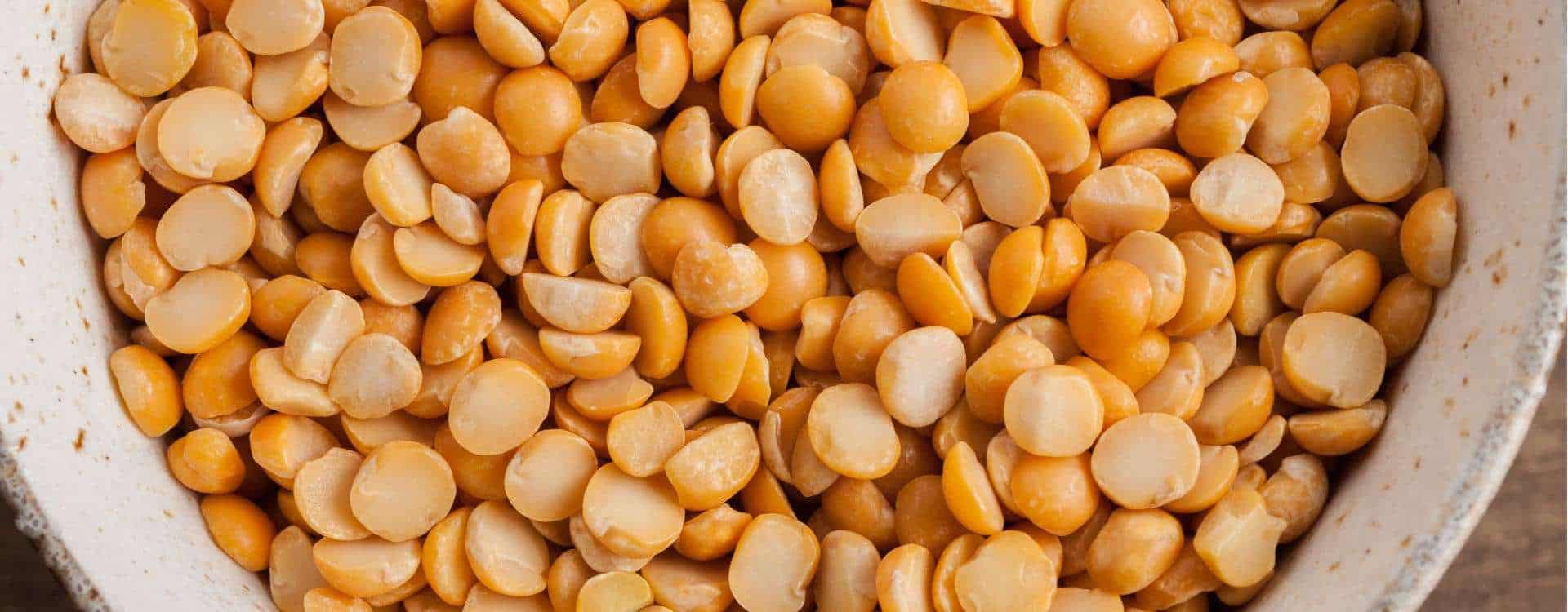 PEA PROTEIN Pisum Sativum