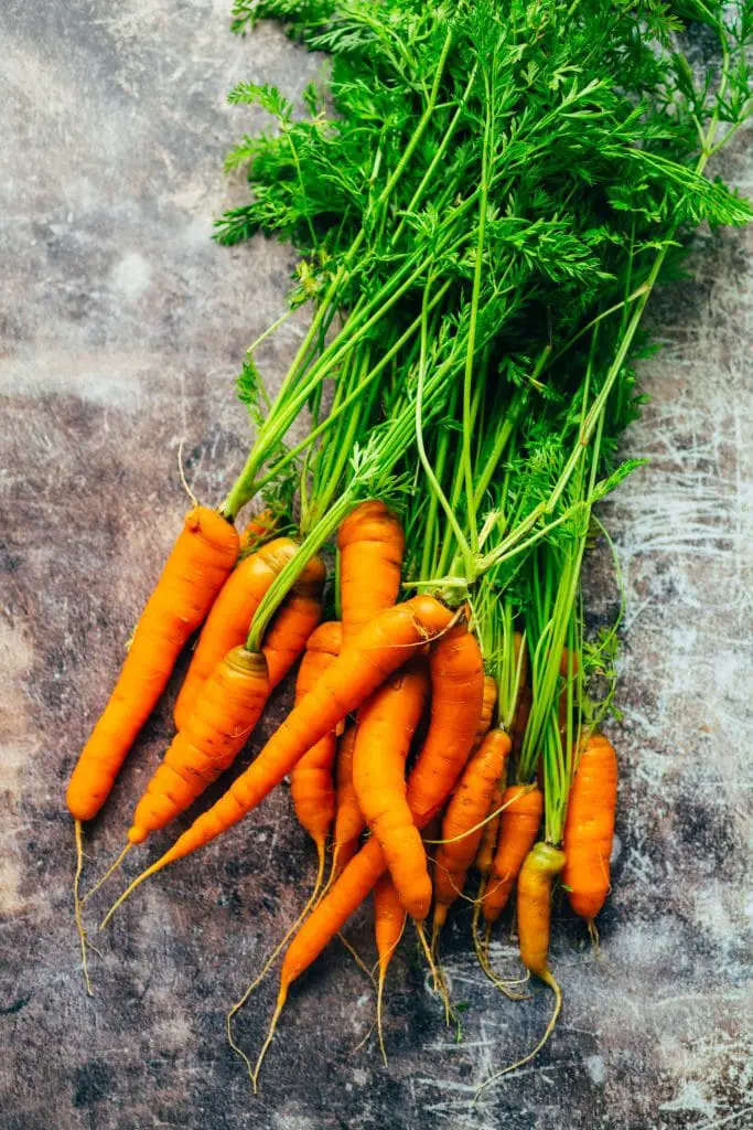 Carrot soup with ginger cream