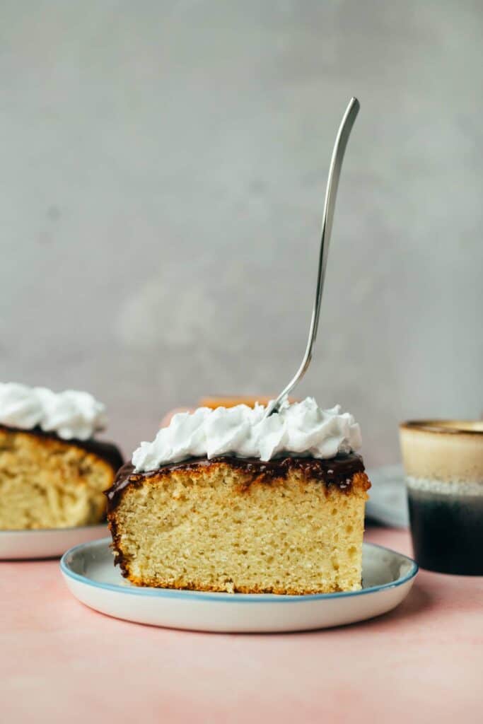 Vanilla cake with chocolate frosting (oil-free)