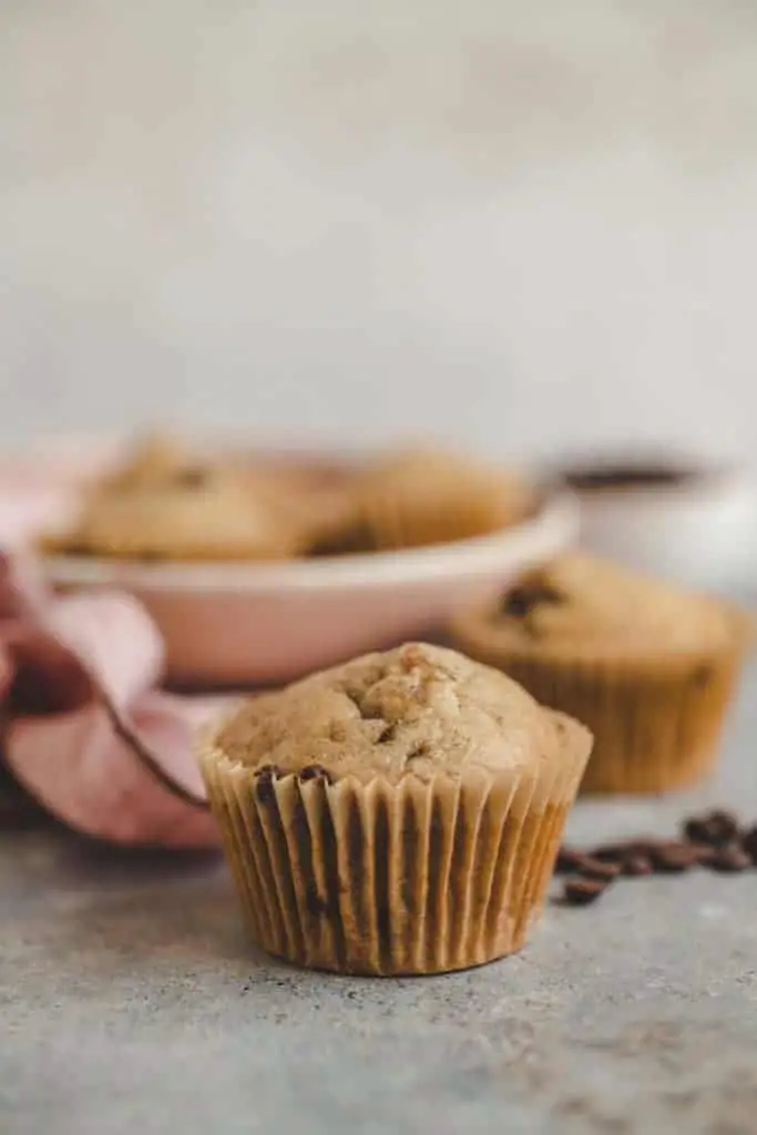 Chocolate Chip Muffins (oil free)