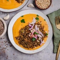 Spicy lentils on puree