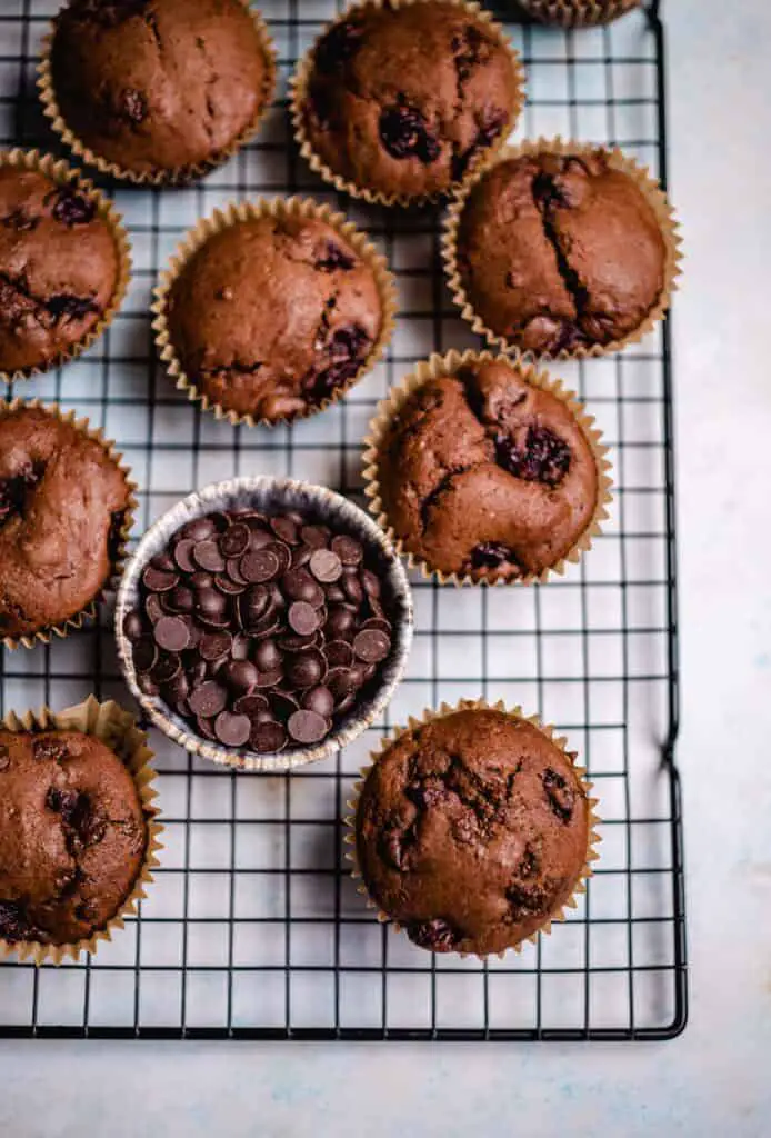 Chocolate cherry muffins