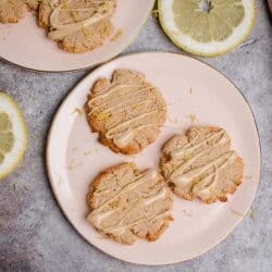 Vegan lemon cookies (gluten free & oil free)